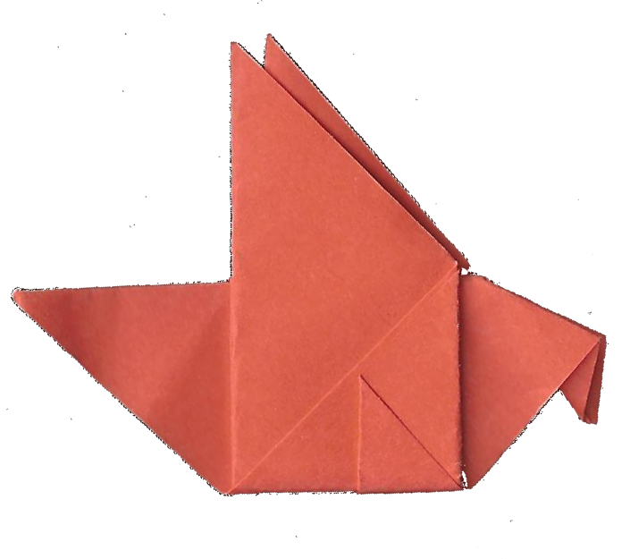 curious origami bird